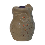 Load image into Gallery viewer, Owl Wax Melter Set (Summer)
