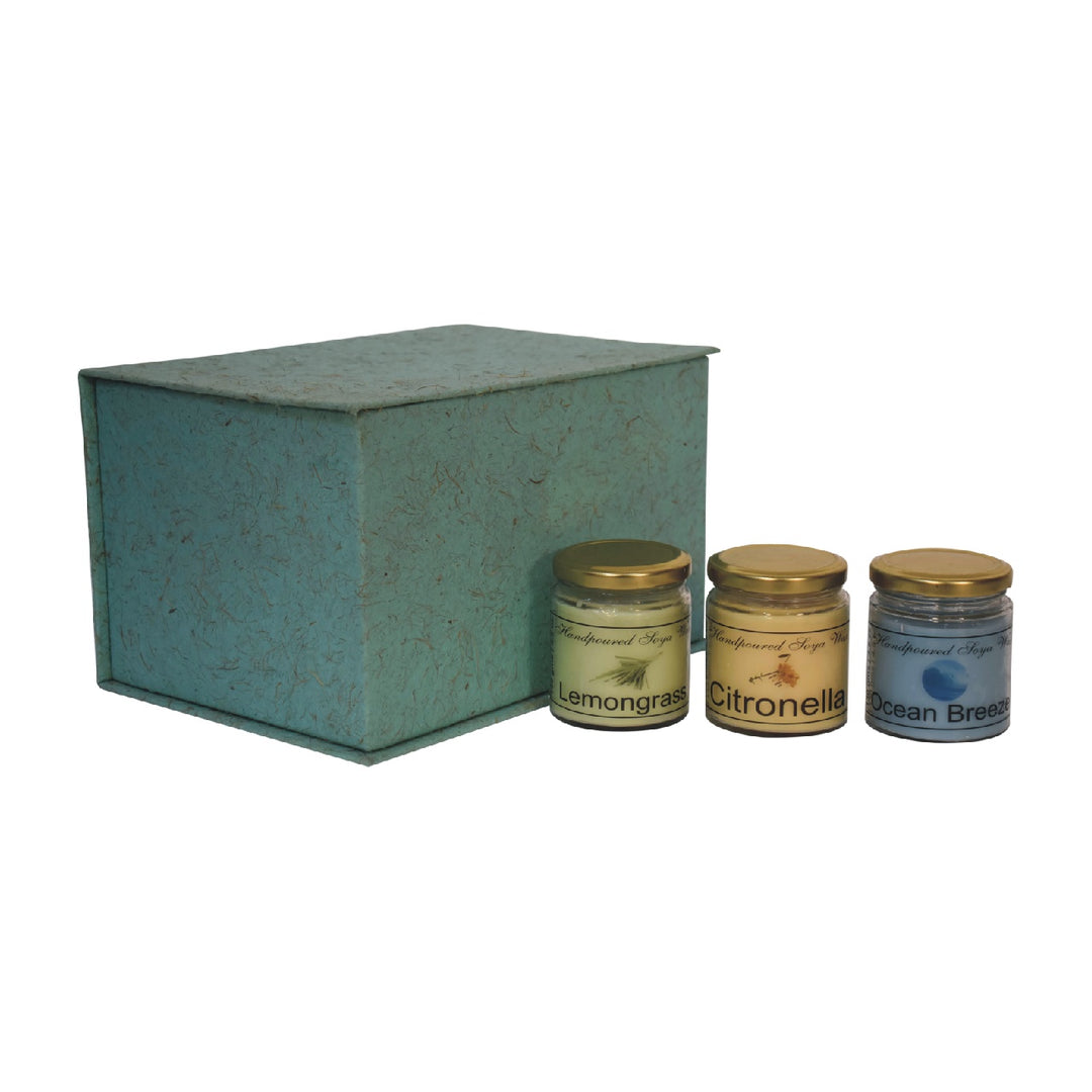 Candle-Gift-Set-of-3-(Summer)