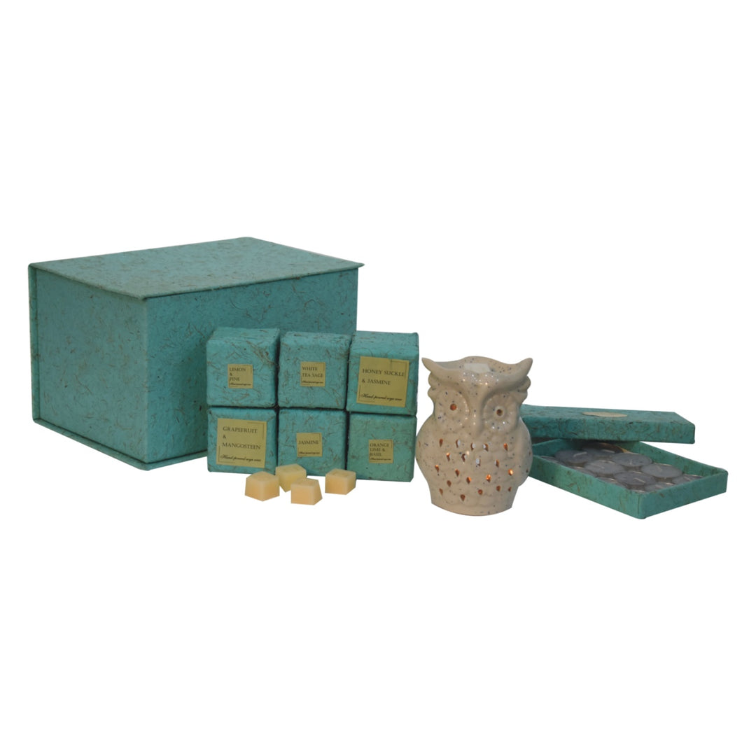 Owl-Wax-Melter-Set-(Fruit)