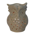 Load image into Gallery viewer, Owl Wax Melter Set (Fruit)
