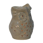 Load image into Gallery viewer, Owl Wax Melter Set (Fruit)
