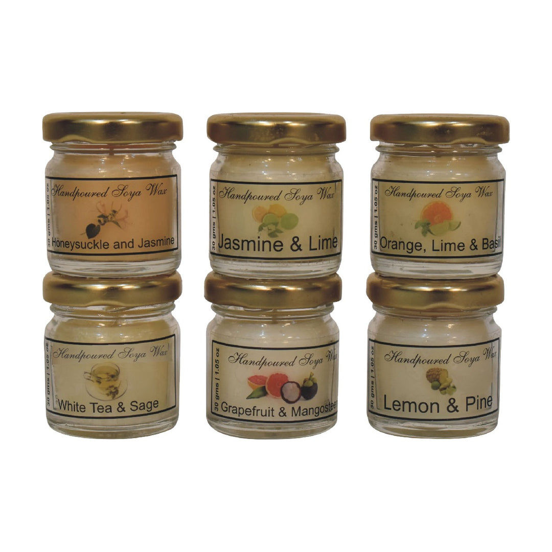 Mini Candle Set of 6 (Fruit)